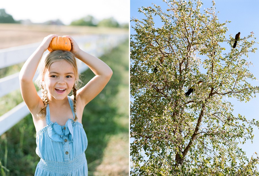 Fall family session by Dallas photographer Jenny McCann