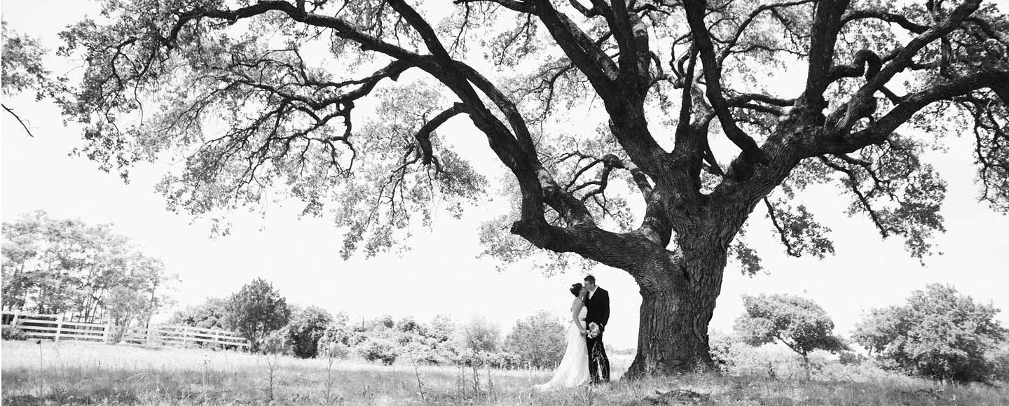 Fredericksburg wedding photography under Texas oak tree.