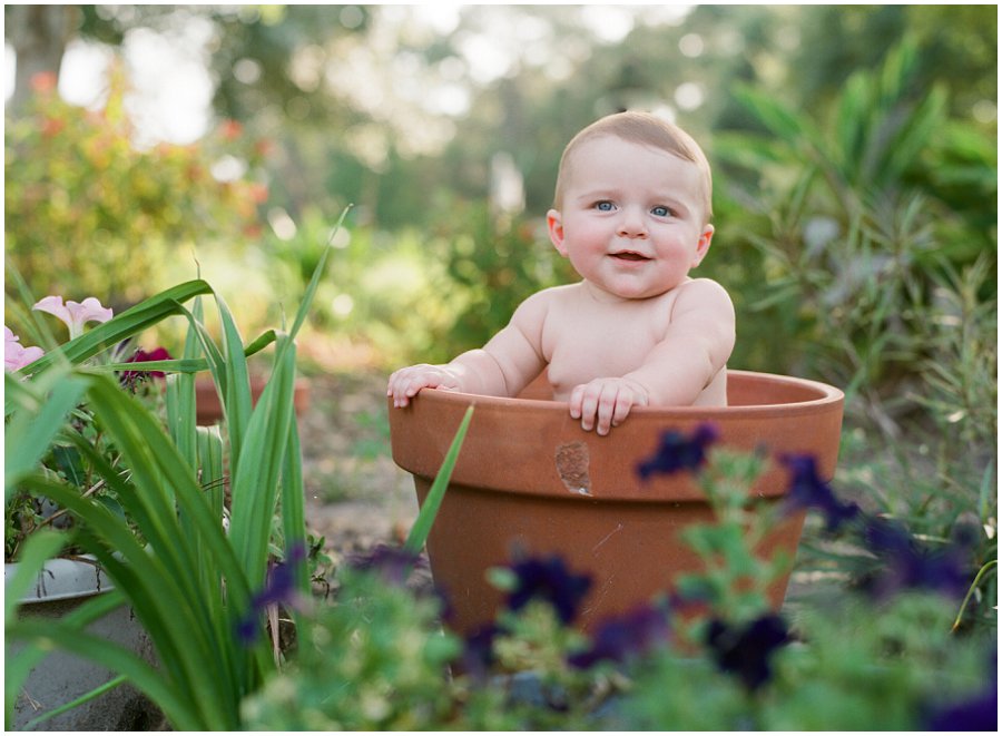Six month baby sitting in flower pot.