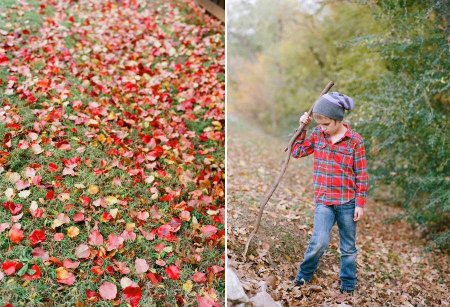 Dallas photographer photographs boy hiking through woods.