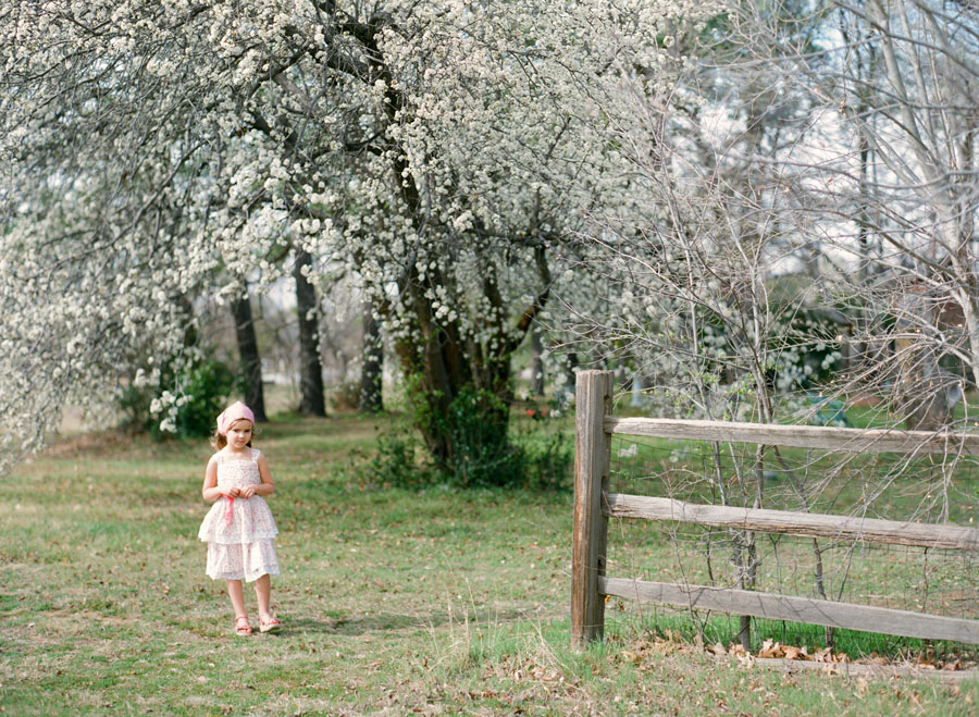 Dallas family photographer captures girl on fuji 400h film next to bradford pear tree.